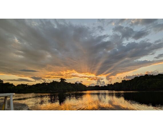 Arapaima Bolivia sep 2027