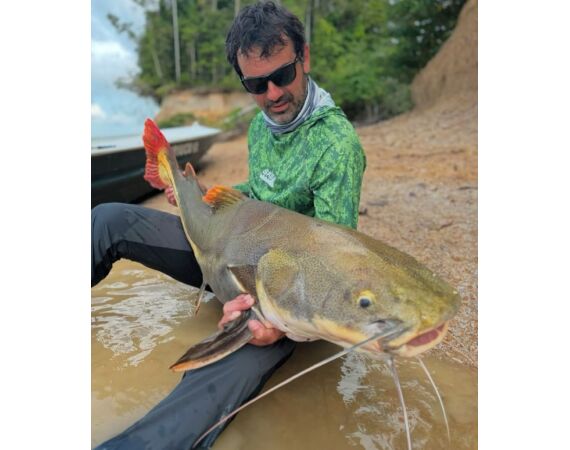 Arapaima Bolivia sep 2027