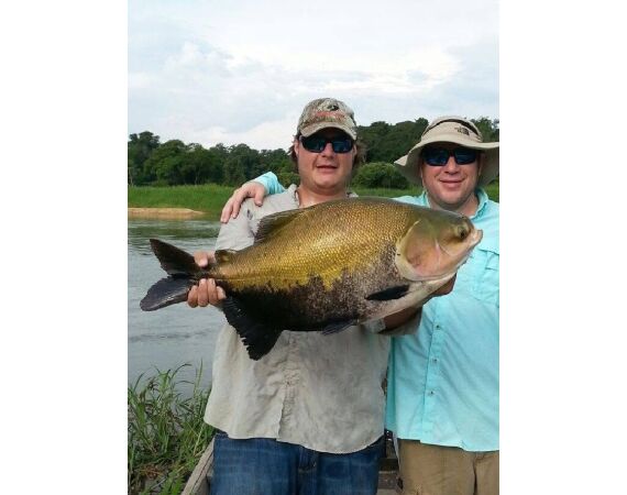 Arapaima Bolivia sep 2027
