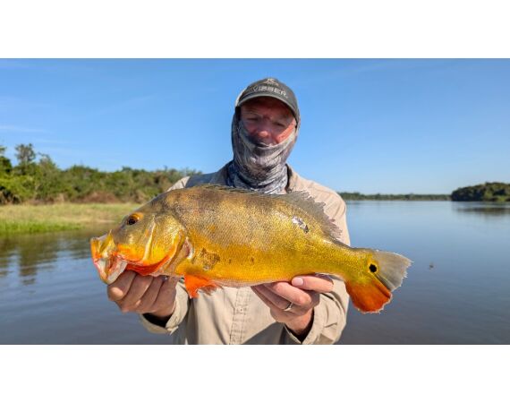 Arapaima Bolivia sep 2027