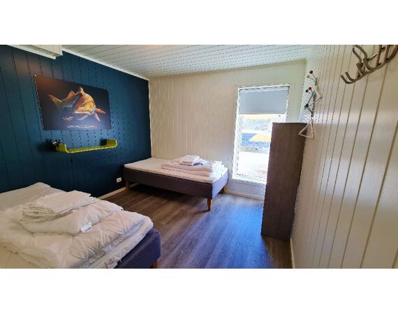 Nipro Noorwegen Festival sep 2027