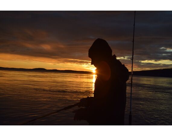 Nipro Noorwegen Festival sep 2027