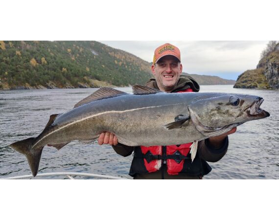 Nipro Noorwegen Festival sep 2027