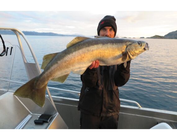 Nipro Noorwegen Festival sep 2027