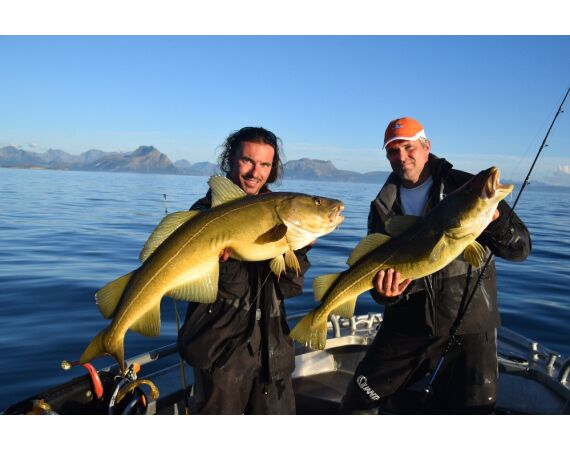 Nipro Noorwegen Festival sep 2027