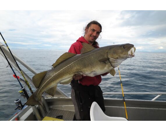 Nipro Noorwegen Festival sep 2027