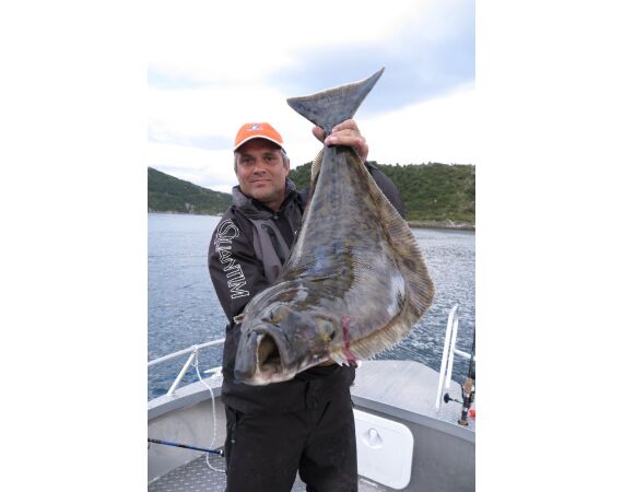 Nipro Noorwegen Festival sep 2027