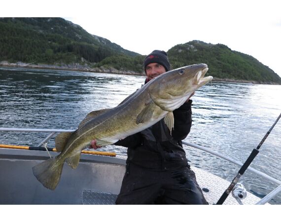 Nipro Noorwegen Festival sep 2027