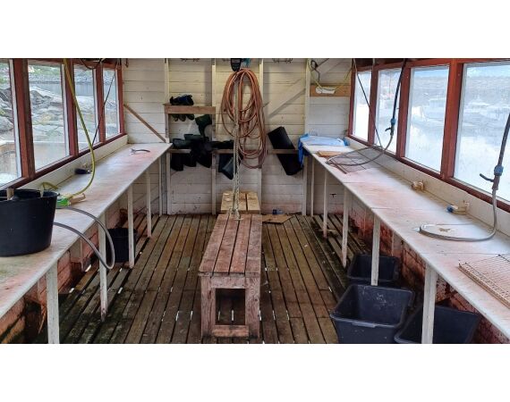 WVL Noorwegen Festival juni 27