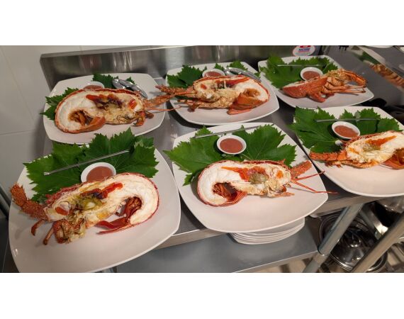 Robinson Crusoe, Chili feb 2027