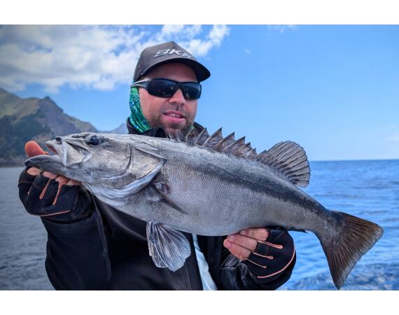 Robinson Crusoe, Chili feb 2027