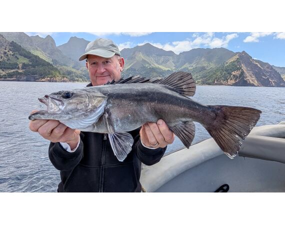 Robinson Crusoe, Chili feb 2027