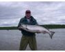 Alaska zalm kamp