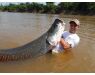 Arapaima Bolivia aug 2026
