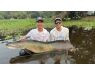Arapaima Bolivia aug 2026