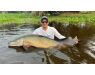 Arapaima Bolivia aug 2026