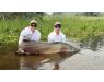 Arapaima Bolivia aug 2026