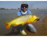 Argentinie, Golden Dorado