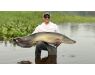 Arapaima Bolivia sep 2027