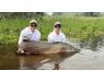 Arapaima Bolivia sep 2027